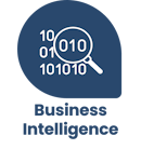 Business intelligence